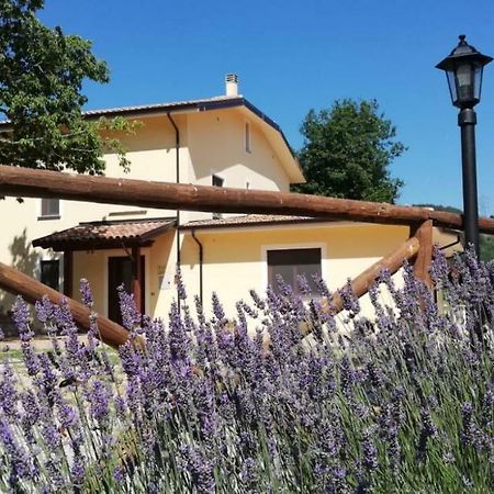 Agriturismo Acquafredda Villa Mormanno Ngoại thất bức ảnh